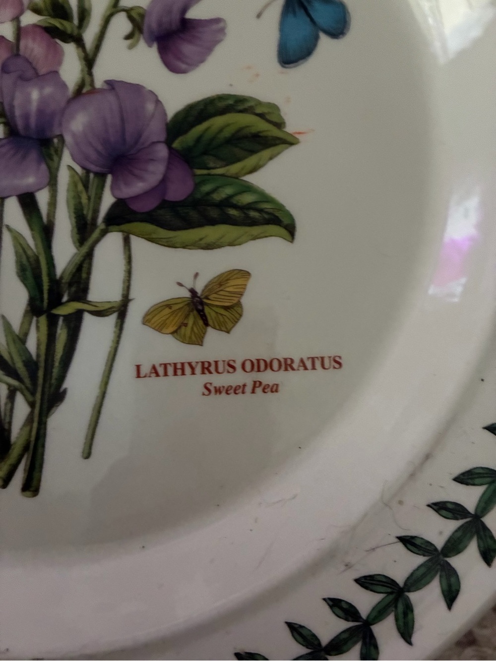 Portmeirion Botanic Garden Sweet Pea Dinner Plate 10.5” - Picture 2 of 2